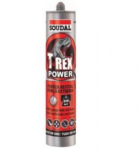 T-REX POWER CINZA 290ml